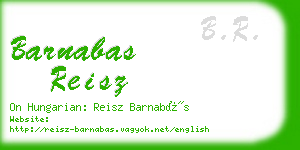 barnabas reisz business card